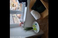 Nagelstudio Natascha