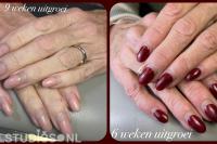 Beauty salon Your wish